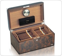 �������� Bentley ��� �����������-�������