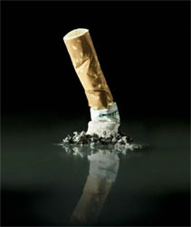 ���� �����