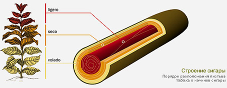 ��������� ������