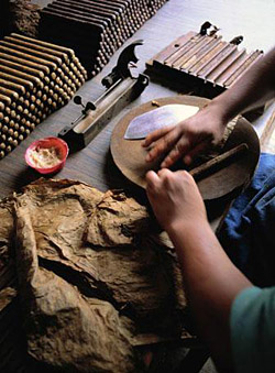 ����� ��� �����