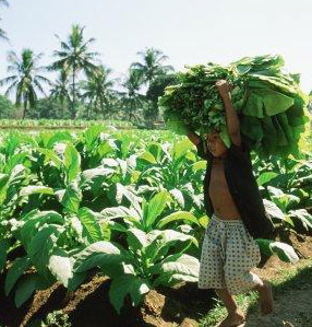 ����� ��� �����