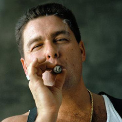 ������ � ��������