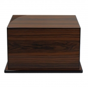 �������� Aficionado Elevate Rio Rosewood (�� 150 �����)