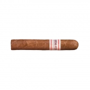 ������ Buena Vista Dark Fired Kentucky Robusto