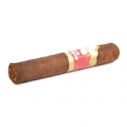 ������ Joya De Nicaragua Flor De Nicaragua Robusto